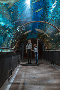 海洋生物界的独力母亲女孩惊喜旅游访问海洋女儿魔鬼鱼女士动物图片