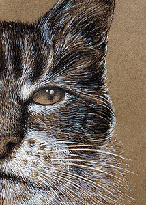 猫脸上涂上白墨和黑墨印在克拉夫纸上的油画图片