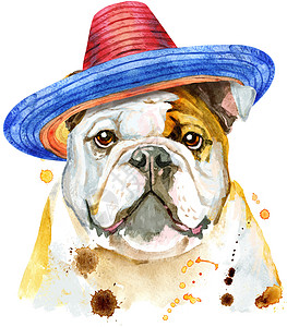 抽象狗墨西哥 ha 的斗牛犬水彩肖像背景