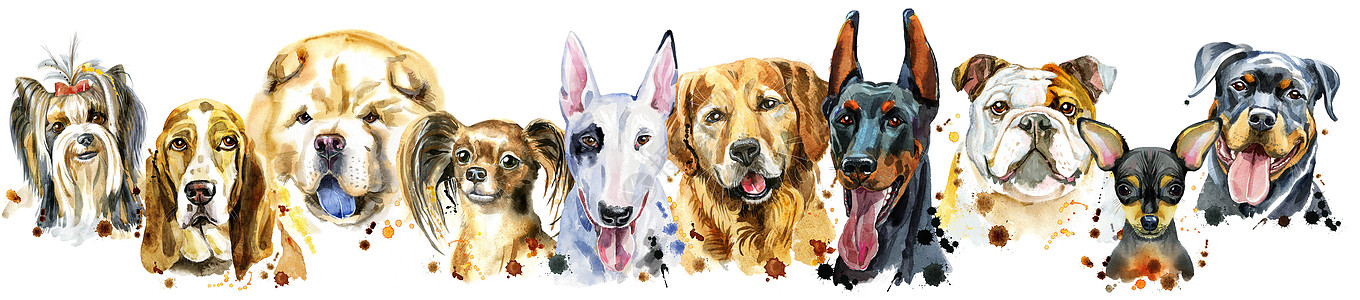 用于装饰的狗水彩肖像的边框海报犬类草图动物哺乳动物朋友伴侣插图艺术新年图片