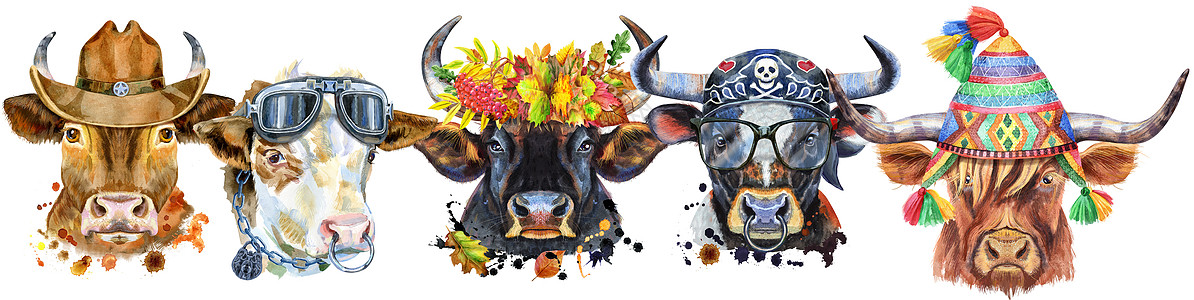 用于装饰的公牛水彩肖像的边框边界奶制品工作室食物动物家畜艺术领结奶牛牛奶图片