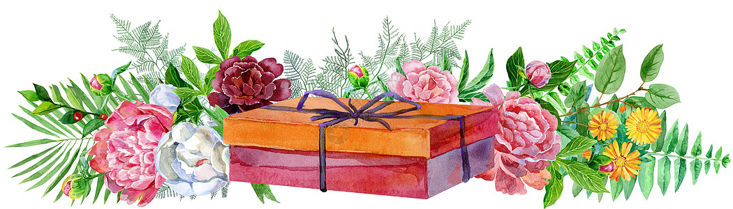水彩与红色礼品盒和牡丹 对于或背景花园婚礼植物群卡片盒子植物学明信片生日礼物边界图片