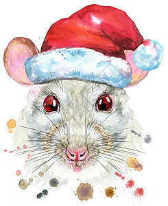 圣诞节老人带飞溅的圣诞老人帽白鼠水彩肖像哺乳动物仓鼠野生动物草图眼睛绘画动物毛皮孩子尾巴背景