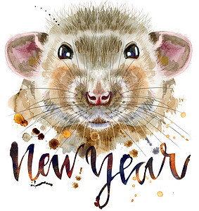 老鼠的水彩画像 上面刻着新年和飞溅绘画宠物草图动物尾巴荒野乐趣哺乳动物艺术毛皮图片