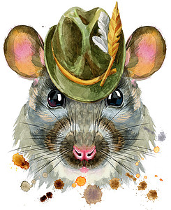 带飞溅的绿帽子老鼠的水彩画像图片