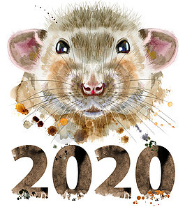 水彩画的大鼠与飞溅和 202 年野生动物仓鼠卡通片宠物老鼠毛皮草图艺术荒野动物图片