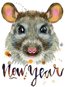 老鼠的水彩画像 上面刻着新年和飞溅草图乐趣孩子仓鼠哺乳动物野生动物眼睛动物尾巴艺术图片