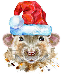 带飞溅的圣诞老人帽白鼠水彩肖像艺术孩子毛皮绘画哺乳动物老鼠尾巴野生动物动物草图图片