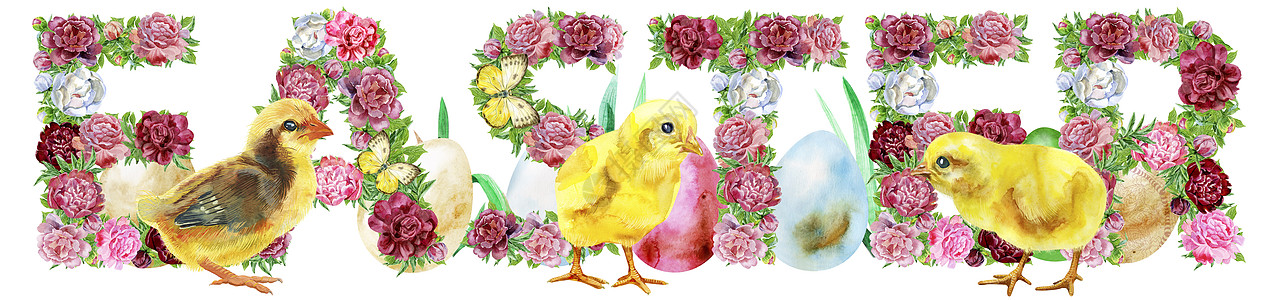 水彩插图花字复活节与鸡和鸡蛋图片