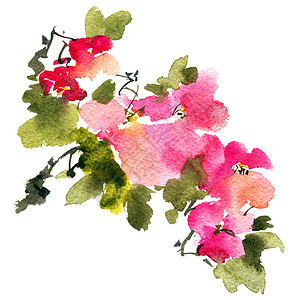 布花树分支花园樱花花瓣手工刷子艺术品花序墨水水彩卡片图片