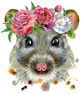 牡丹花圈中老鼠的水彩肖像图片