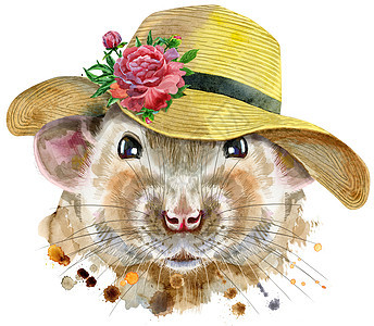 宽边夏日大鼠水彩画像尾巴哺乳动物草图毛皮艺术孩子宠物绘画乐趣仓鼠图片