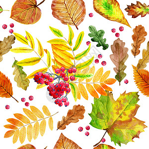 无缝花纹与秋季水彩假墙纸树叶草药季节艺术插图艺术品花园植物打印图片