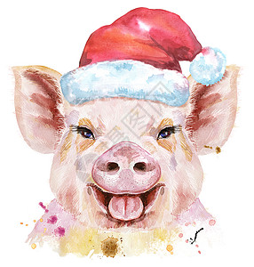 圣诞猪圣哈猪的水彩肖像背景