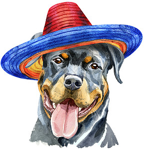 墨西哥 ha 的罗威纳犬水彩肖像图片