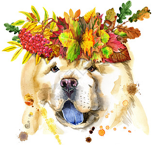 带假花环的松狮犬水彩肖像图片