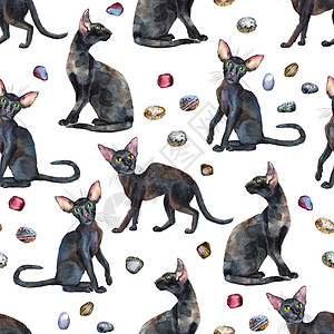 东方黑猫的无缝模式 绘画动物图案插图小猫猫科哺乳动物艺术石头冒充水彩晶须墨水图片