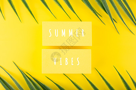 暑假背景 夏日气氛在棕榈叶黄色背景上刻入黄色背景流行音乐传单派对问候语异国棕榈艺术媒体标识乐趣图片
