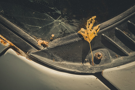 旧车挡风玻璃破碎时 树上的秋叶干枯 玻璃和机器表面有灰尘图片