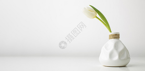 二色花藤2 高品质的美景照片概念 具有郁金香色的花瓶背景