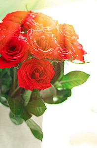 盛红玫瑰的包束 作为花香节日礼物 美丽的鲜鲜花园花当家居装饰品母亲妈妈们花朵温泉婚礼展示太阳妻子植物魅力图片
