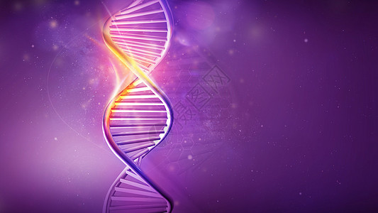 紫外线背景的DNA螺旋模型 3D制成图片