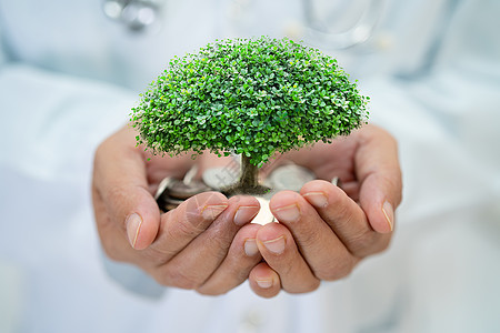 节省钱币的树上 在医生手中 商业融资投资概念中图片