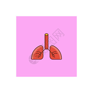 肺插图身体药品结核生物学肺炎器官诊所解剖学医疗图片