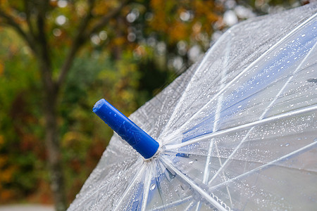 在模糊的秋天背景上 在雨中用绿色的橙叶树特写带水滴的透明雨伞 秋季雨季天气安全庇护所雨滴叶子气泡森林帮助配饰风暴图片