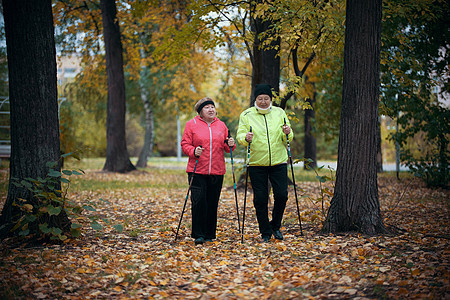 斯堪的纳维亚有两名老年妇女在公园走在树中路外的露天公园里图片