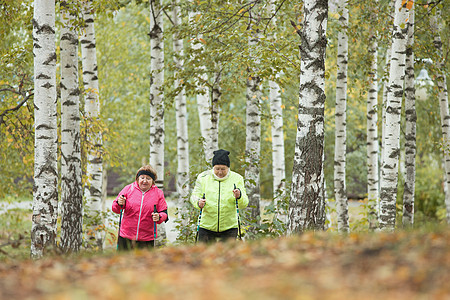 两名老年妇女参与斯堪的纳维亚人在公园路外走动图片