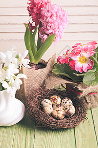 鸟巢中的鸡蛋春花乡村季节鹌鹑庆典传统桌子木头绿色花瓶图片