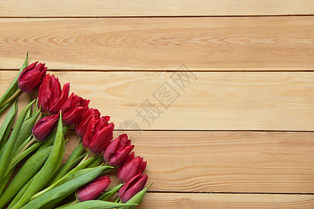 木桌上的红色春天郁金香花 盛开的春天红色花瓣 春天美丽的郁金香 郁金香花与木制背景上的绿色叶子图片