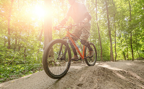 阳光下骑自行车的自行车活动行动闲暇公园运动自然森林娱乐勘探乐趣图片
