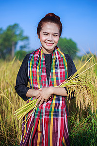 田间拥有大米的农民妇女国家场地食物日落女士文化农场收成空气稻田图片