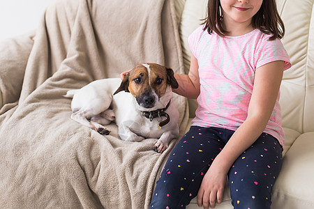 沙发上有可爱狗杰克·罗瑟尔特瑞的女孩 宠物 孩子和家喻户晓图片