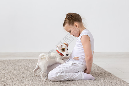 宠物和动物概念     童女玩小狗杰克罗素泰瑞乐趣猎犬白色友谊幸福地面微笑睡衣工作室灰色图片