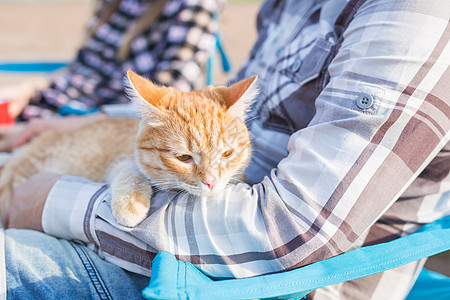 人 旅游和自然概念  人在大自然中抱猫闲暇冒险团体微笑篝火幸福野餐假期太阳镜男人图片