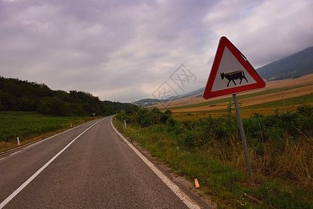 穿越绿地的道路风景沥青农村蓝色土地爬坡场地赛道日出路线图片