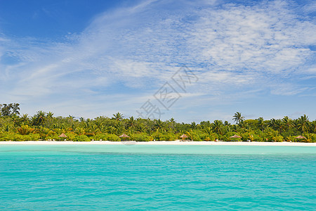 热带热带海滩季节蓝色墙纸阳光旅游海岸天堂风景支撑天空图片