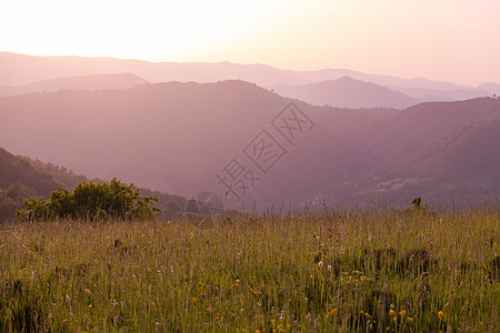 夏季自然景观地平线爬坡旅行山脉农村森林草地日落太阳植物图片