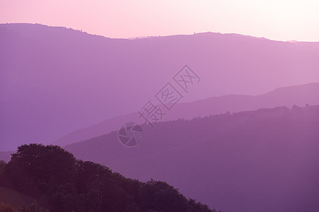 紫外线紫色夏天风景植物日落金子天空阳光艺术曲线场地旅行农村图片