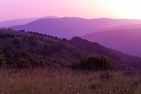 紫外线紫色夏天风景森林草地植物农村爬坡天空丘陵场地地平线日落图片