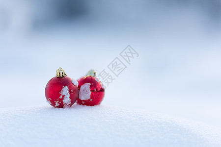 清雪中的红圣诞节球小玩意儿季节假期玻璃装饰乐趣风格装饰品派对玩具图片