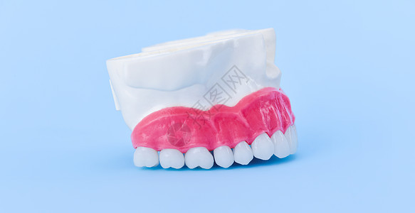 具有牙齿和口香糖解剖模型的上人下巴医生假肢微笑口腔科口服手术假牙塑料矫正美白图片