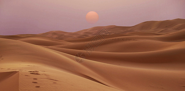 照片来自摩洛哥的撒哈拉沙漠地貌假期旅游迷游记公羊旅游生活博主笔记本摄影旅行旅游图片