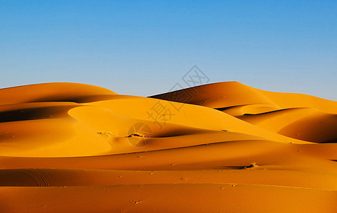 摩洛哥撒哈拉沙漠沙丘的景色山脊 摩洛哥笔记本旅人假期旅行者旅游生活图片博客世界博主公羊图片