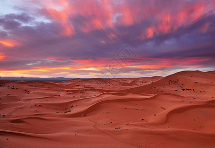 摩洛哥撒哈拉沙漠沙丘的景色山脊 摩洛哥游记旅游迷图片旅游世界博客旅行旅行者旅游生活公羊博主图片