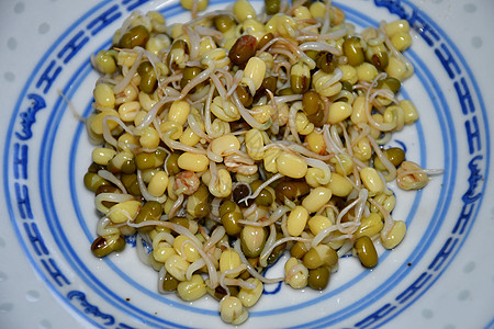 闭合时的豆芽绿色饮食蔬菜食物胚芽大豆美食种子沙拉宏观图片