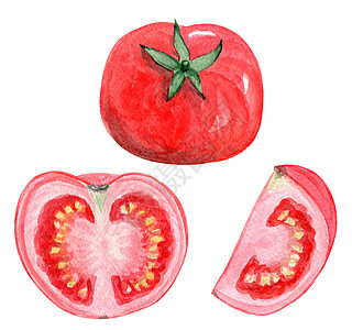 红色水彩水彩红番茄插图集隔离在白色背景上 用于菜单设计的手绘蔬菜背景